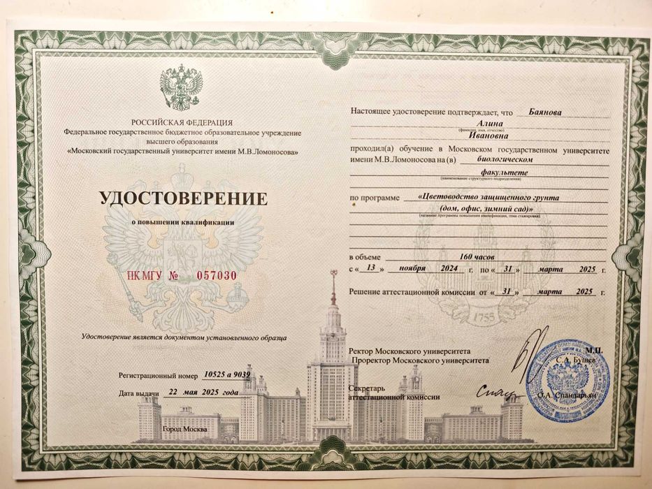 Уход за горшечными растениями, пересадка, озеленение