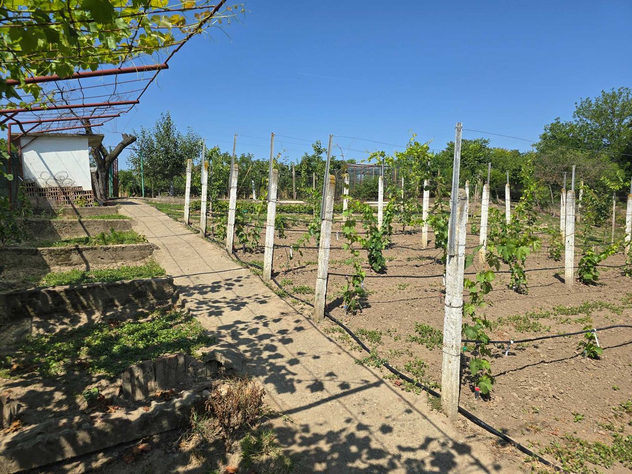 Продава се Къща в Козлодуй - 67 кв.м за 1256 €/кв.м - Снимка #14