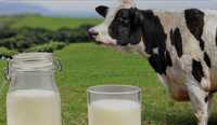 Молоко с фермы