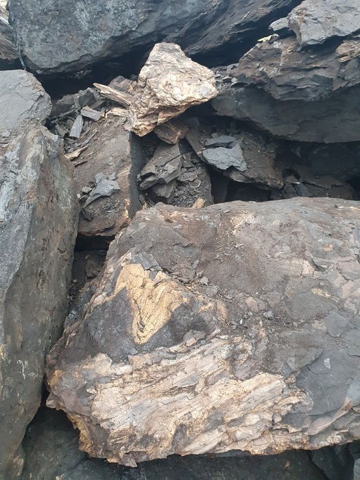 Carbune lignit-sortat manual