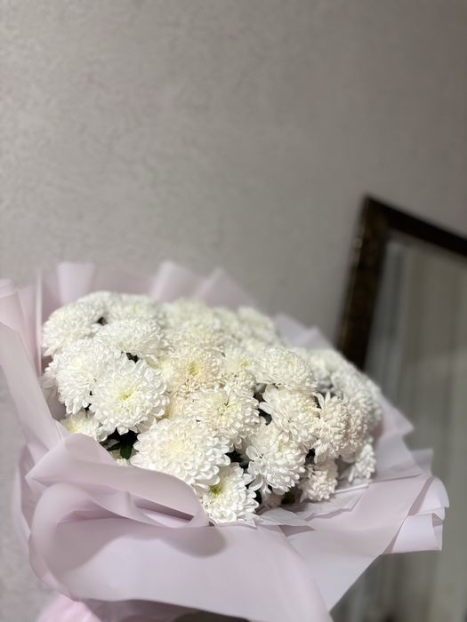 Цветы ромашки свежие