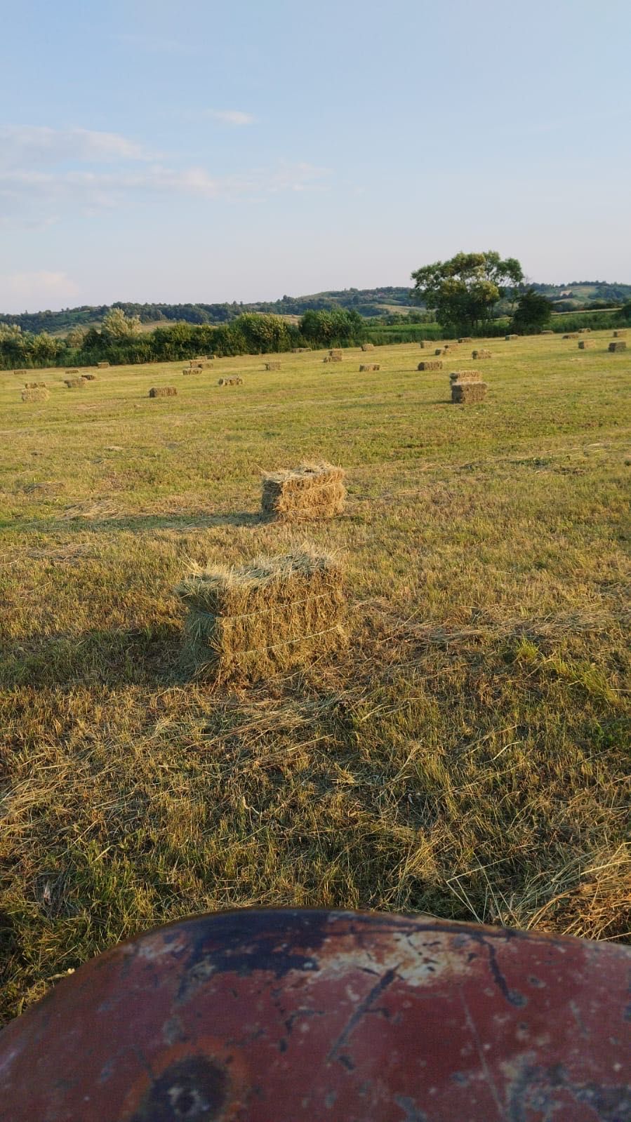 Vând baloți de fân