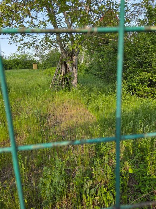 Teren intravilan 500 mp, zonă de case, com. Brănești – Pasărea (Ilfov)