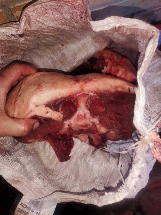 Конина по частям