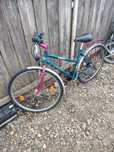 Bicicletă de dama