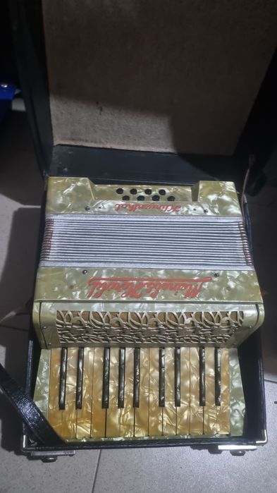 Acordeon mic pentru copii