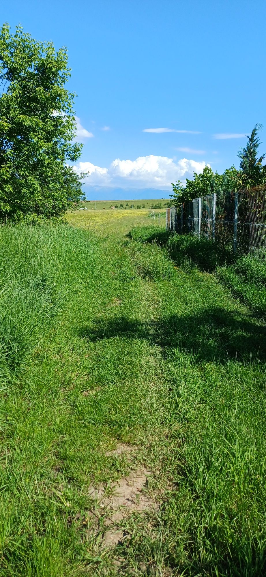 Teren intravilan 500mp Sibiu/Șelimbăr