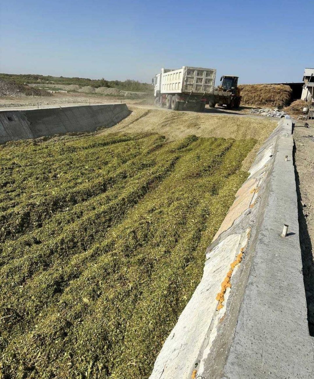 Silos 5000 T bor Gibrit 2025