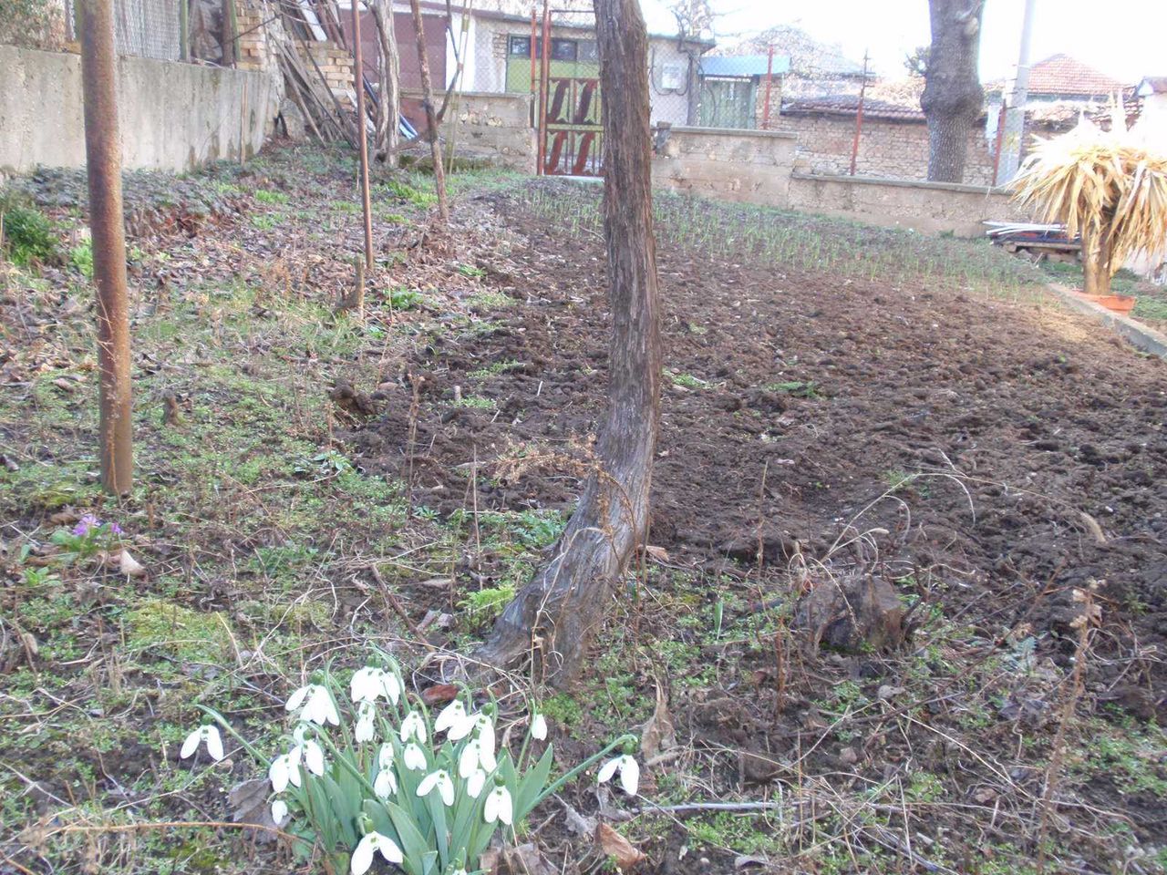 Продава се Къща в Разград, Център - 190 кв.м за 632 €/кв.м - Снимка #8