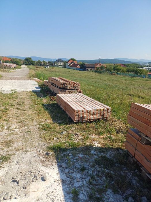 Se vând boiandrugi