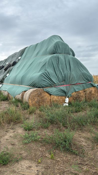 Baloti lucerna sau Fan.Rotunzi min.40.drept.500.La TIR.Pomi fructiferi