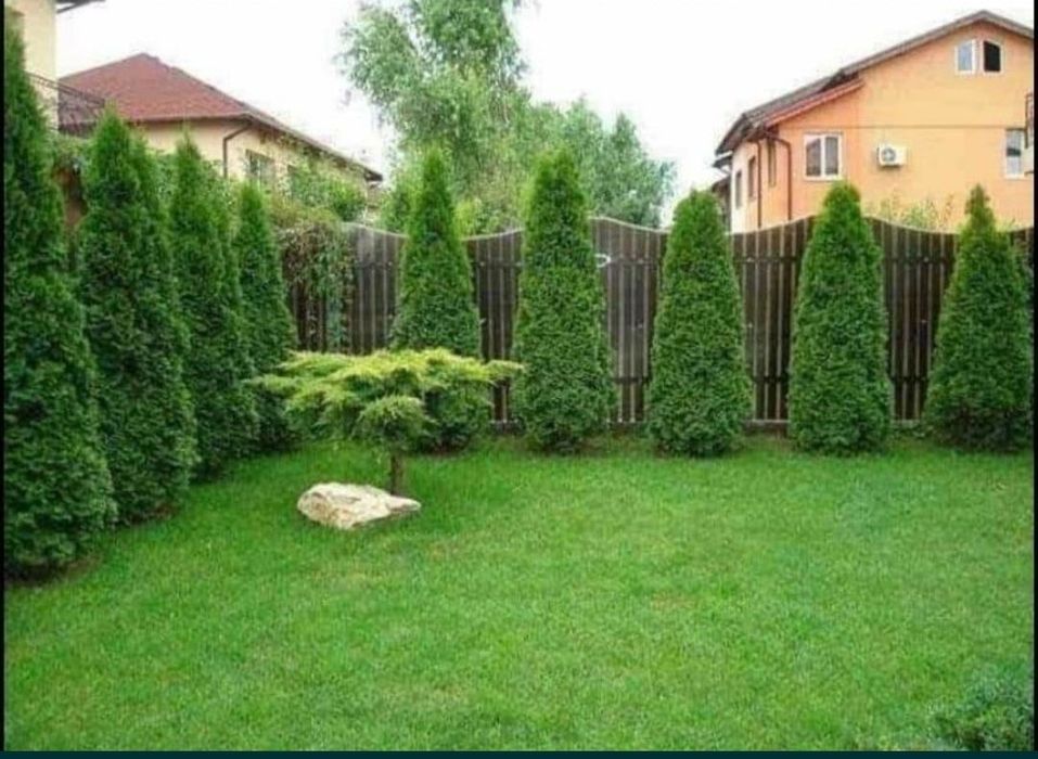 Amenajări gradini