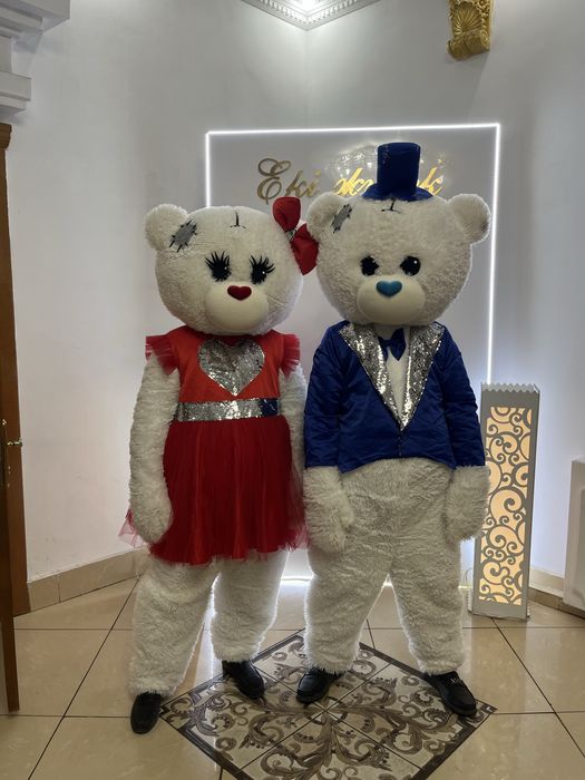 Аниматор костюм сатылады