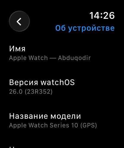 Apple Watch 10 46MM 100%