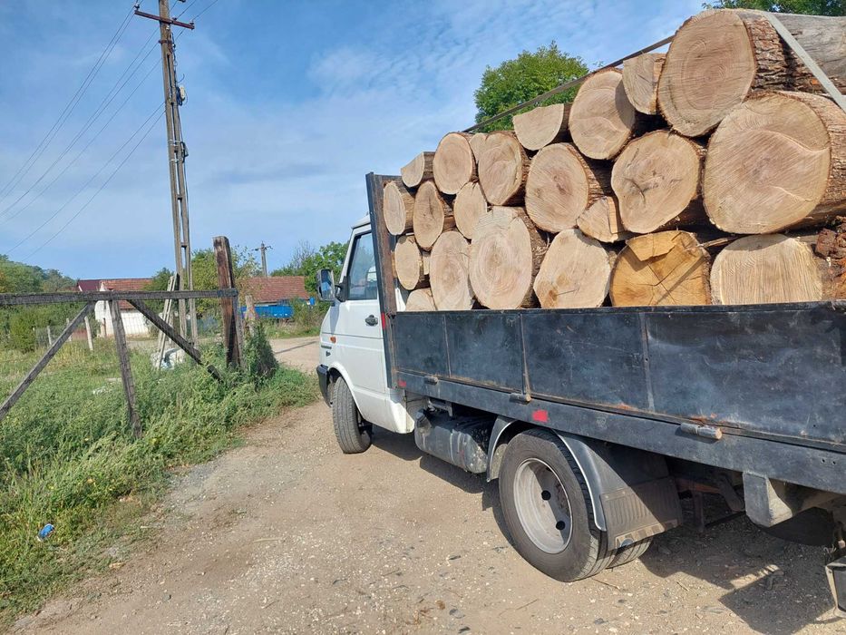 Lemne de foc timis esența tare