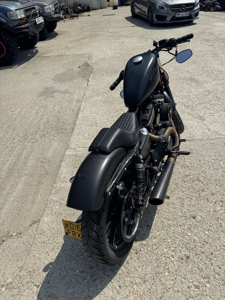 Harley Davidson xl883 Iron 16
