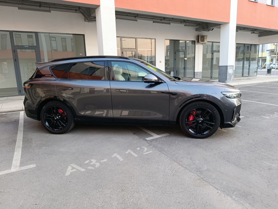 Voyah free apollo tech 318