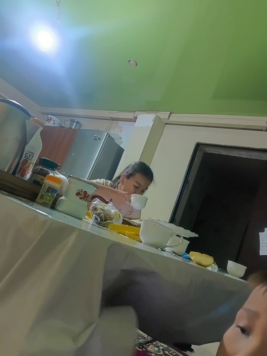 Продам  дом на дачном участке .