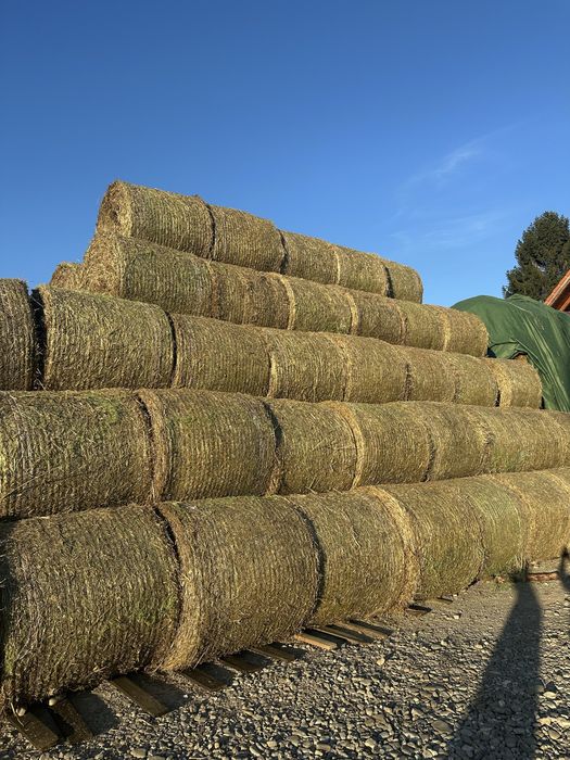 Baloti de paie de grau