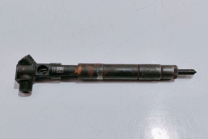 Injector  Delphi 2.2 cdi EURO 5 A6510704987 / 78HNSLY8TY / LP16CX8JA6