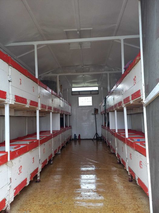 Vand Pavilion apicol