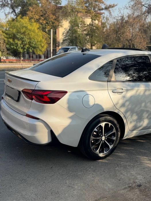 Услуги водителя со своим авто MONZA