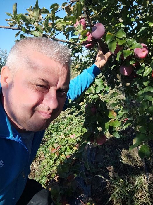 Vând Mere și Pere din plantația proprie