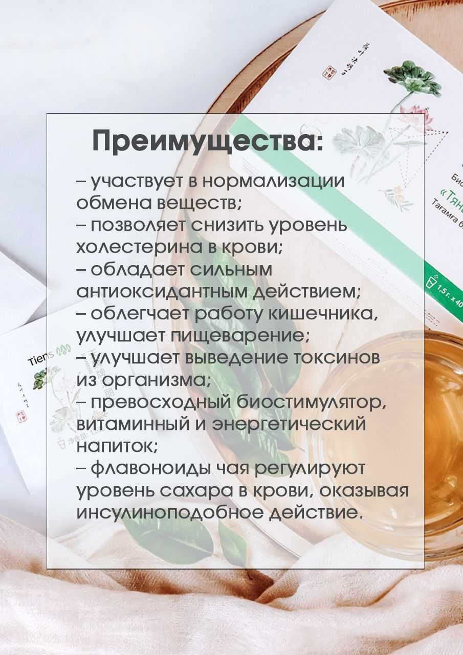 Чай Тяньши «Тьен Фэн Ча»