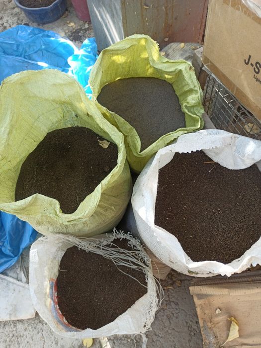 Assalomu alaykum sifatli biogumus sotiladi