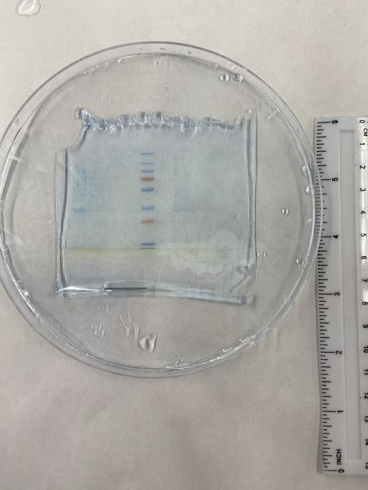 Подселение 1 человек 100,000тг