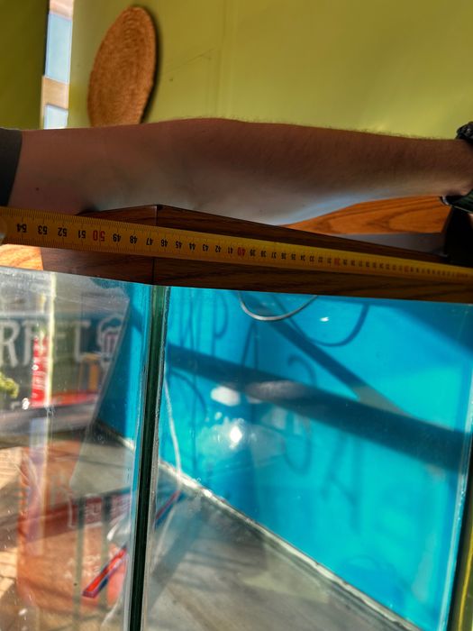 Аквариум за дома