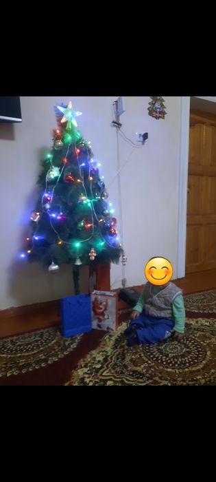 Ёлка сатылады жагдайы жаксы