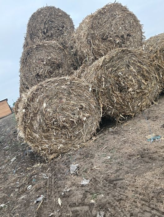 Baloți de tocatura