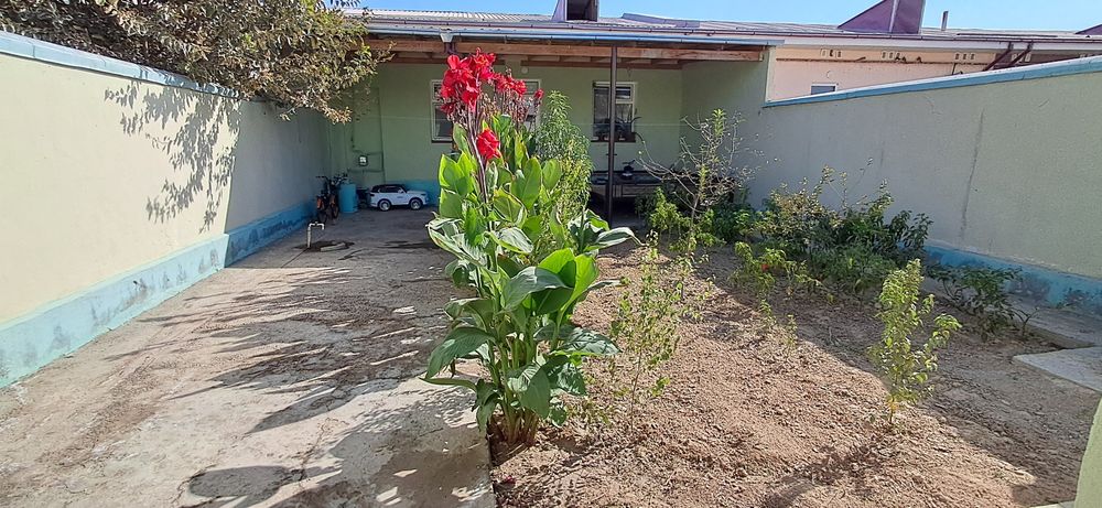 СРОЧНО! Уй сотилади Мирзаобод тумани Богистон МФЙ 2 сотихли наьмунали