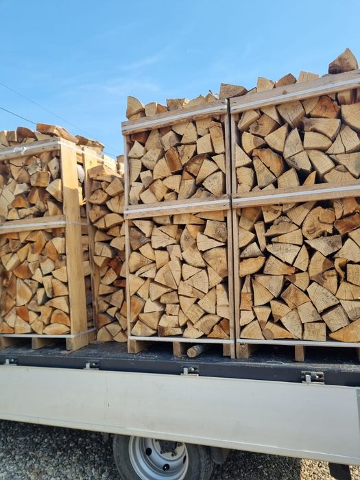 Lemne de foc fag esenta tare