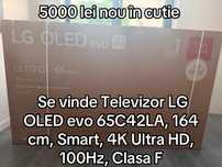 TV LG OLED Evo 164 cm Smart 4k Ultra HD 100hz Clasa F