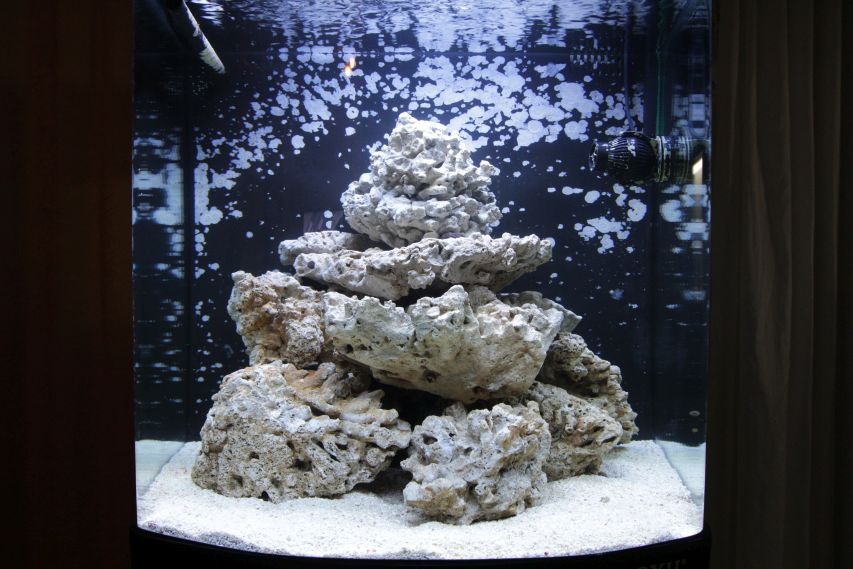 Камъни за морски аквариум, акваскейп