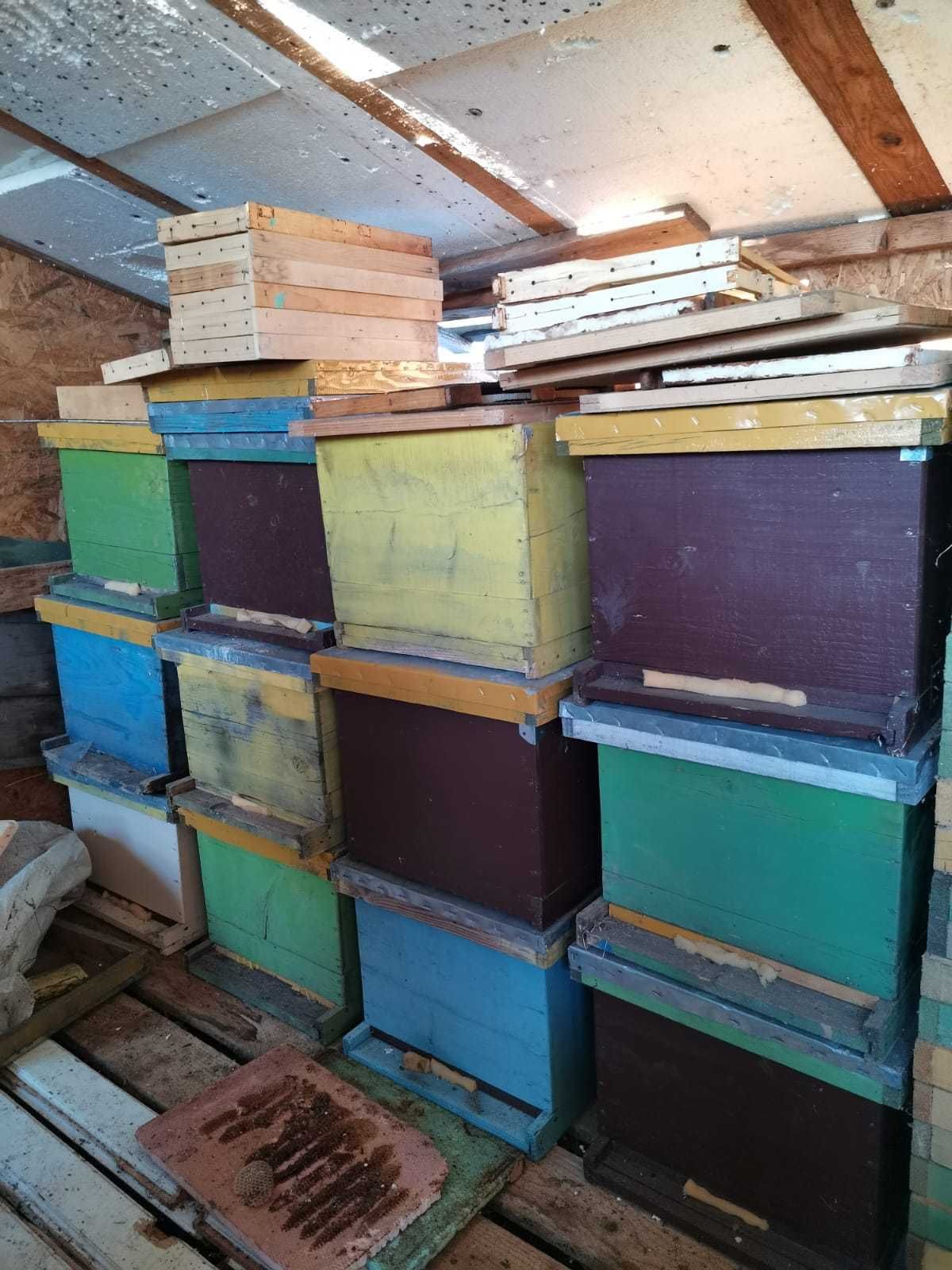 Vand 150-180 de Stupi pentru albine pe 10 rame!