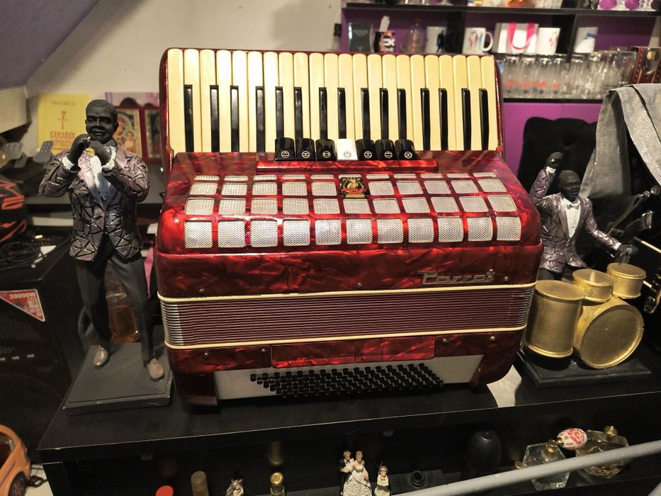 Acordeon cu 96 basi Parot , cu 7 registre , in stare buna