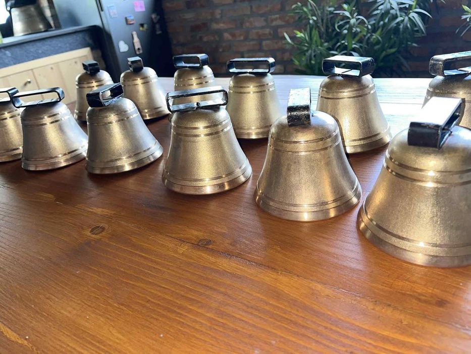 Clopoți din Elveția