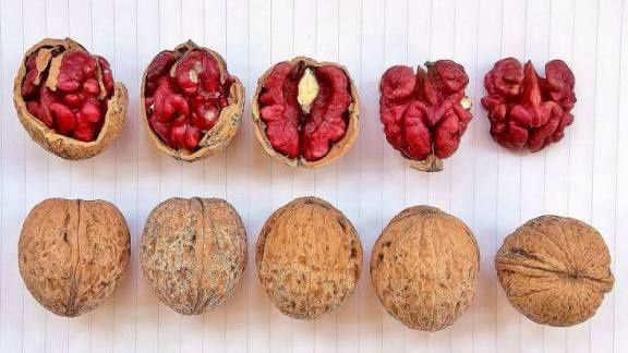 Nuc Deosebit Rubin cu miez Rosu