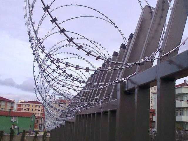 Ҳимоя учун тиконли симлар, Эгоза, Игоза
