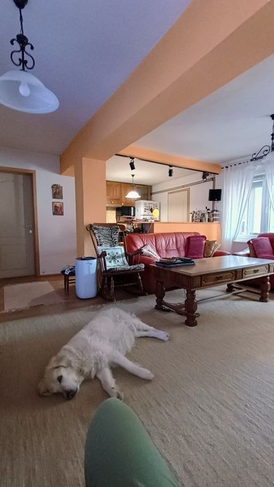 Casă 4 camere Voluntari