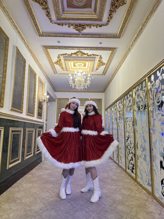 Новогодние программы