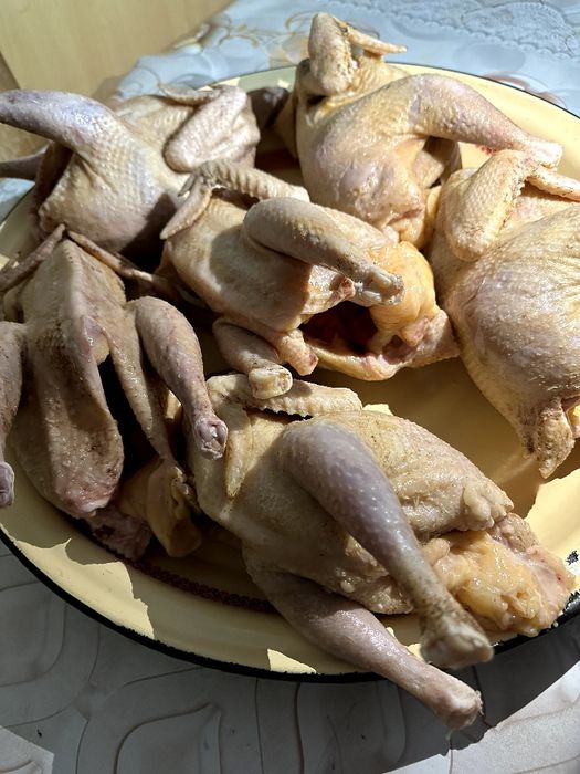 Тушки домашние несушки, тушки для бульона