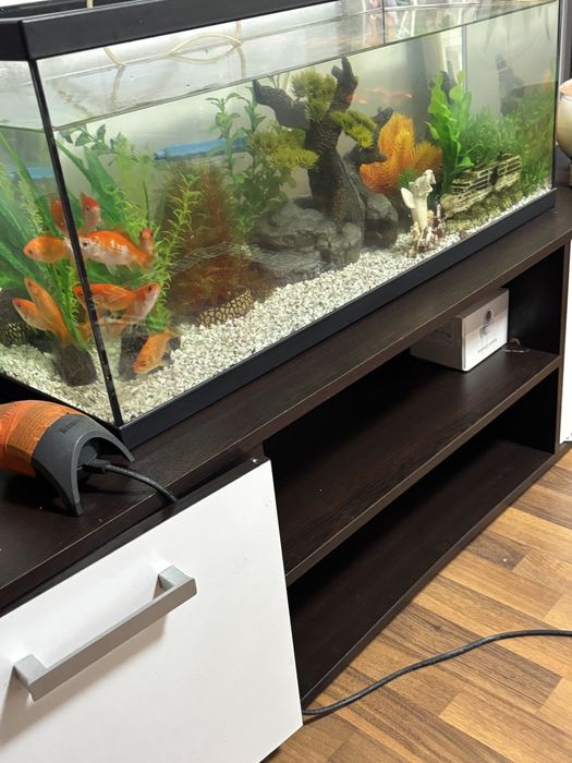 Vind acvariu cu pesti plus decoratiuni