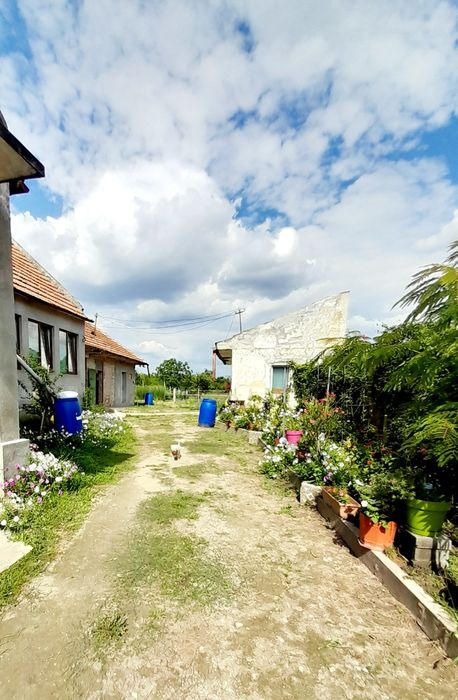 Casă de vânzare în Zădăreni