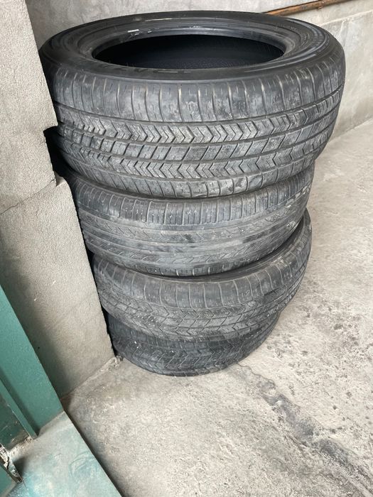 Balon Shina шина