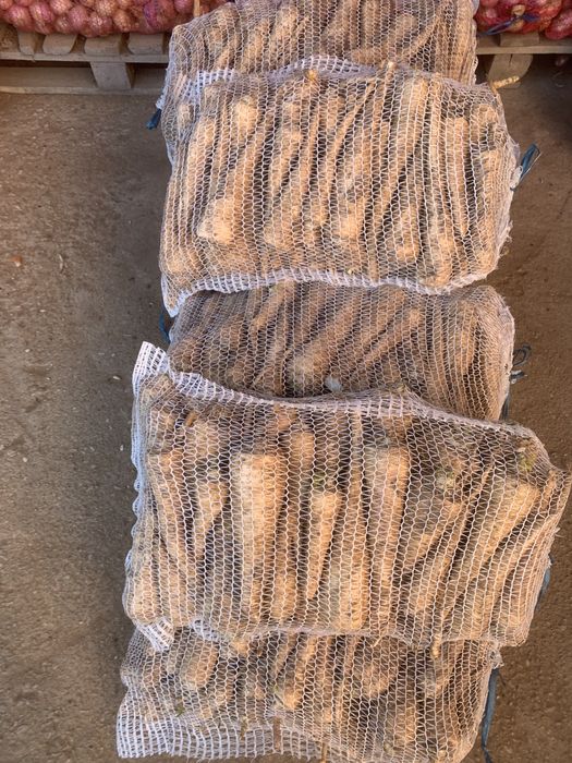 Vand patrunjel lung si frumos