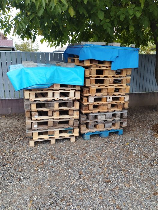 Paleți Euro / Non Euro
